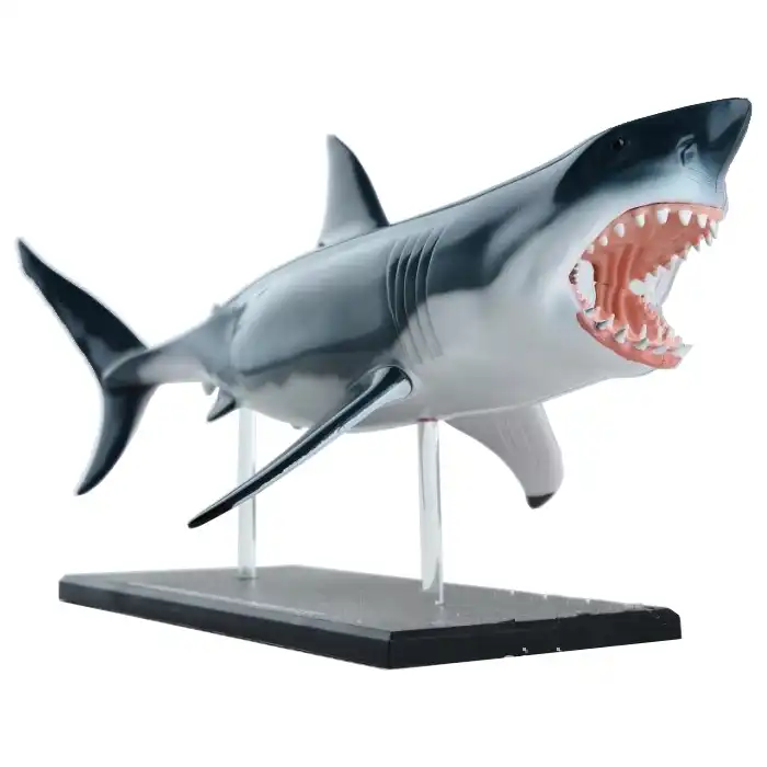 cool shark toys