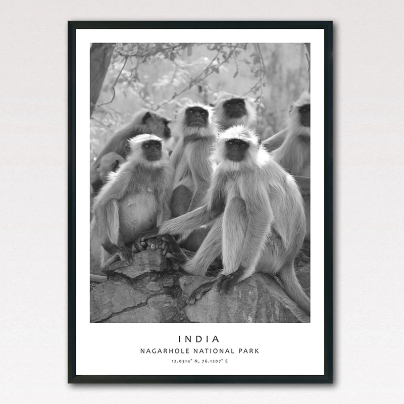 monkey canvas art prints home decor