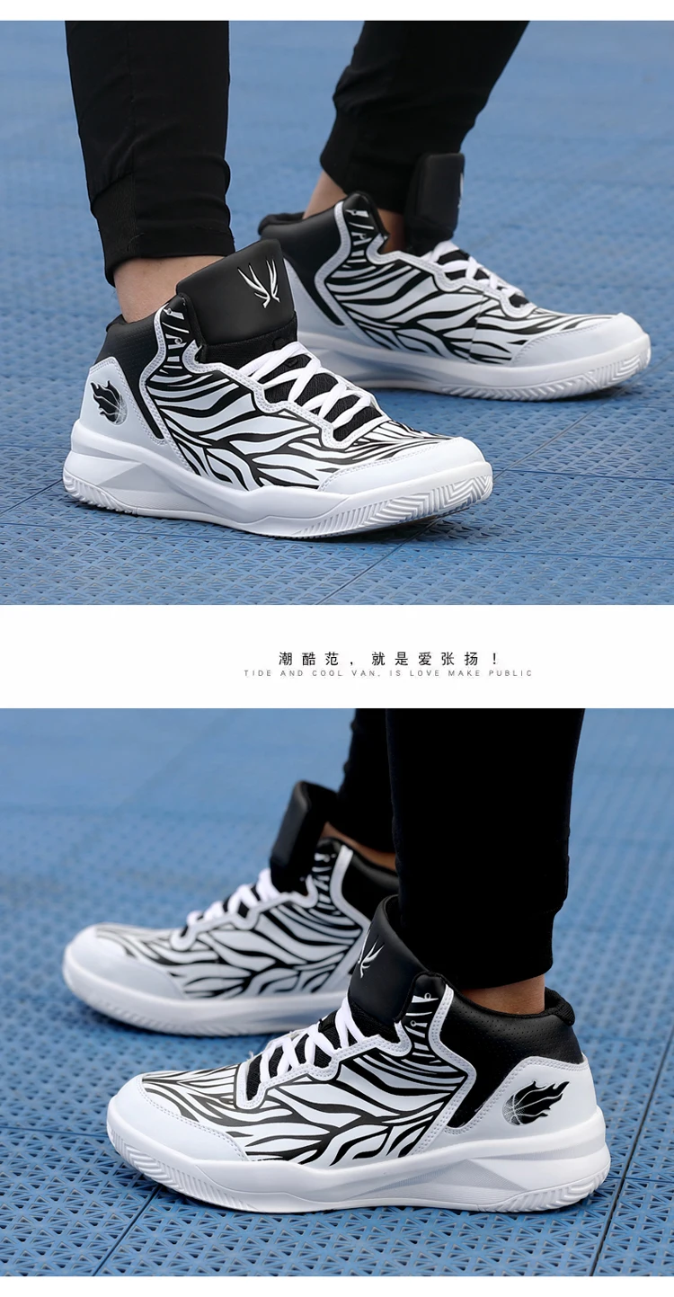 desc-0016
