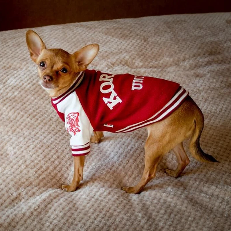 [mpk Dogwear] Cool Looking Dog Sweater, 2 Colors Available, Smart