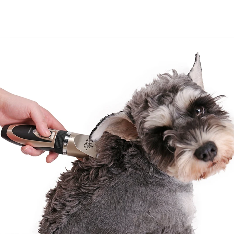 TB2qQhmiRTH8KJjy0FiXXcRsXXa_!!2193552176