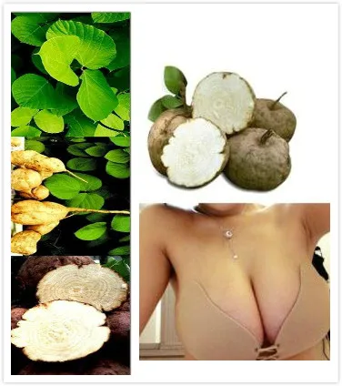 

Pueraria Mirifica Natural Breast Bust Enlargement Free Shipping