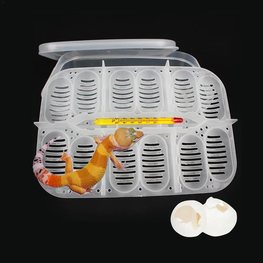 1pcs 12-Compartment Professional Reptile Hatchery Box Lizard Small Reptile Breeding Box Advanced Incubator With Thermometer