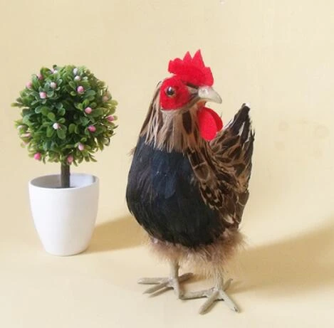 460 Contoh Gambar Unggas HD