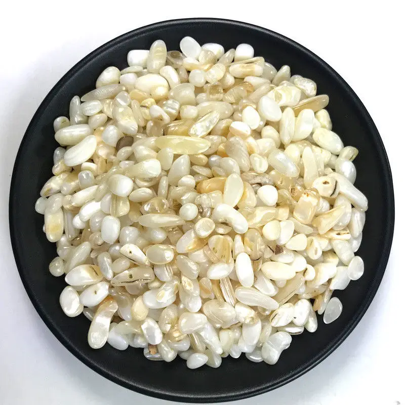 

50g 3 Kinds Shell Conch Gravel Stones Quartz Crystal Rock Energy Mineral Crystal Mineral Crystals