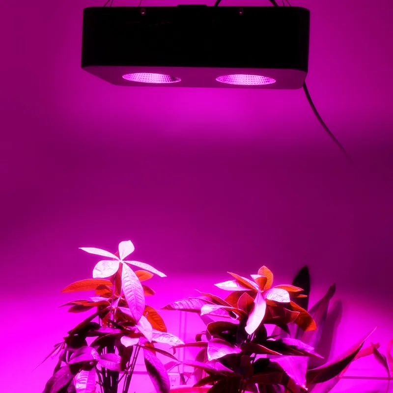 Полный спектр бескорпусной чип светодиодная лампа для выращивания 500 Вт 1000 Вт 1500 Вт 2000 Вт лампа для выращивания комнатных растений и Цветочная теплица подвесной светильник для растений