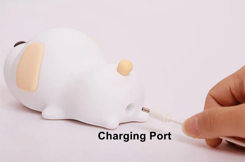 Night Light LED  (1)
