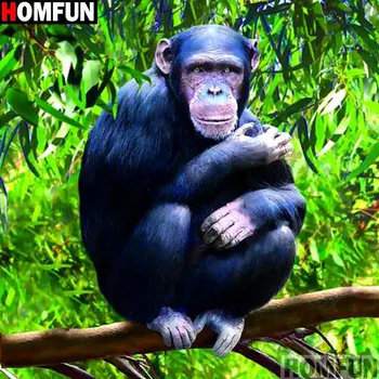 

HOMFUN Full Square/Round Drill 5D DIY Diamond Painting "Animal monkey" 3D Embroidery Cross Stitch 5D Decor Gift A13241