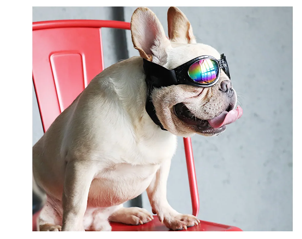 Dog Helmet and Goggles Kit