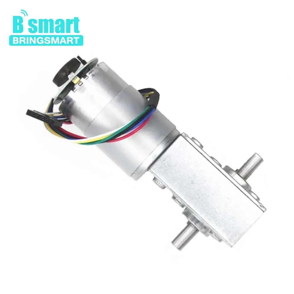 

Bringsmart Double Shaft DC Motor Encoder 5840-555B 24V DC Worm Gear Motor 12V Encoder Motor 470rpm Turbine Reducer High Torque