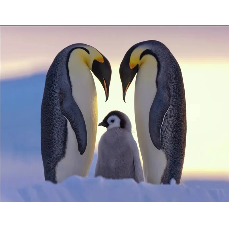 

5D penguin Animals Picture Diy Full Square Diamond Painting Cross Stitch Diamond Embroidery Diamond Mosaic Home Decor