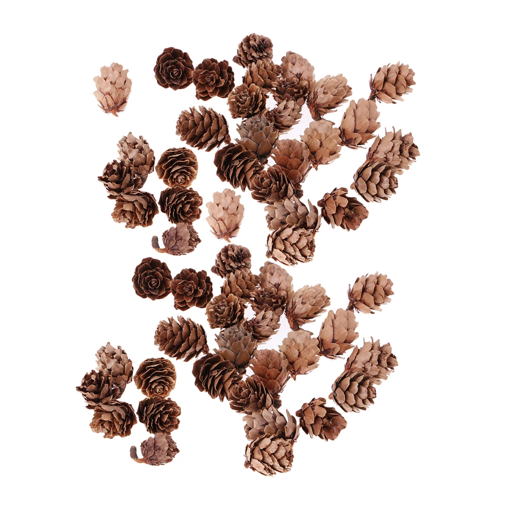 60 Pieces Mini Natural Rustic Dried Pine Cones In Bulk For Christmas Party Ornament DIY Decoration