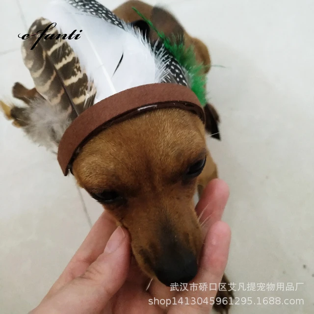 Dog Indian Costume