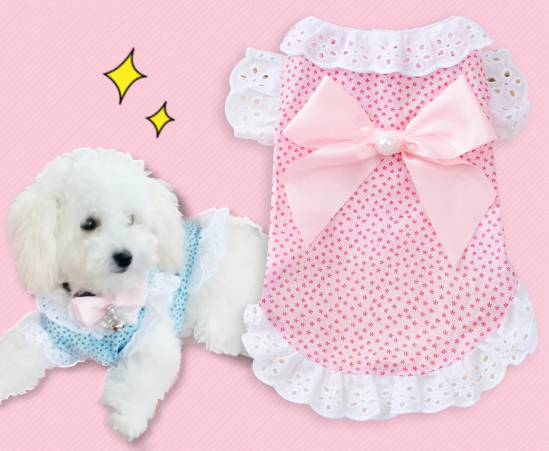 9221124234_1368698927