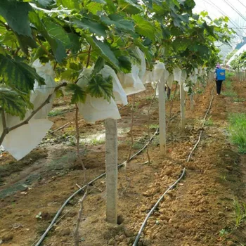 

50Pcs/Lot Garden Vegetable Grapes Apples Fruit Protection Bag Pouch Agricultural Pest Control Anti-Bird Mesh Bags 18 x 20cm