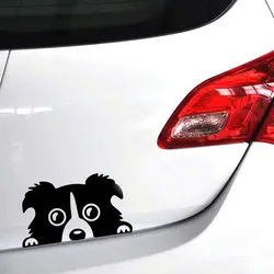 1 шт 14*8 см 2019 Новый дизайн забавные автомобильные наклейки выглядывает границы собака колли виниловые наклейки декор для грузовиков корпус