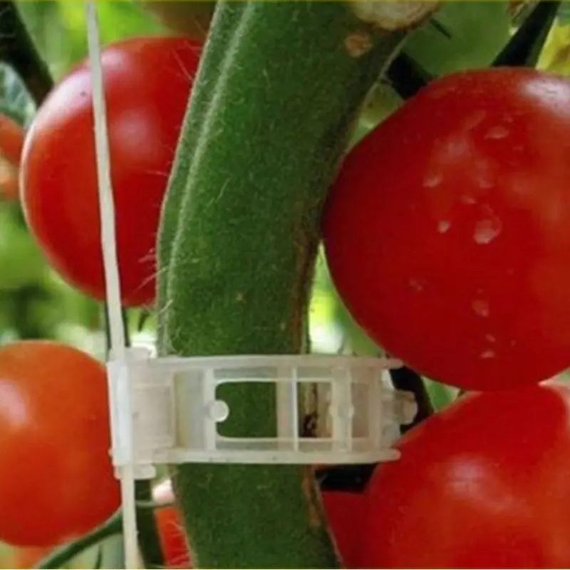 Поддержка растений зажимы для сада томатный садовые овощи лоза расти вертикально и делает растения здоровее шпагат зажимы