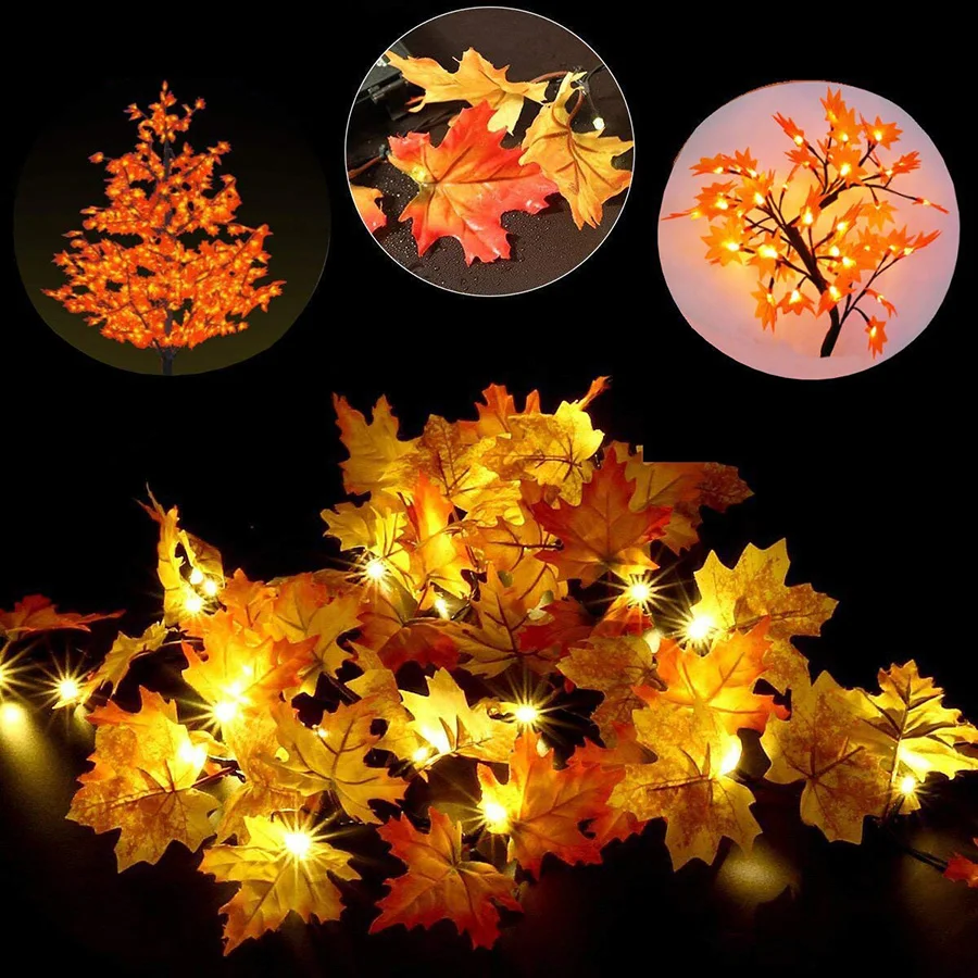 HTB13Q5mXcfrK1Rjy1Xdq6yemFXav