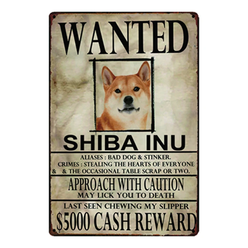 Us 458 49 Off Kelly66 Shiba Inu Dogs Wanied Metal Sign Tin Poster Home Decor Bar Wall Art Painting 2030 Cm Size Y 2088 In Plaques Signs From