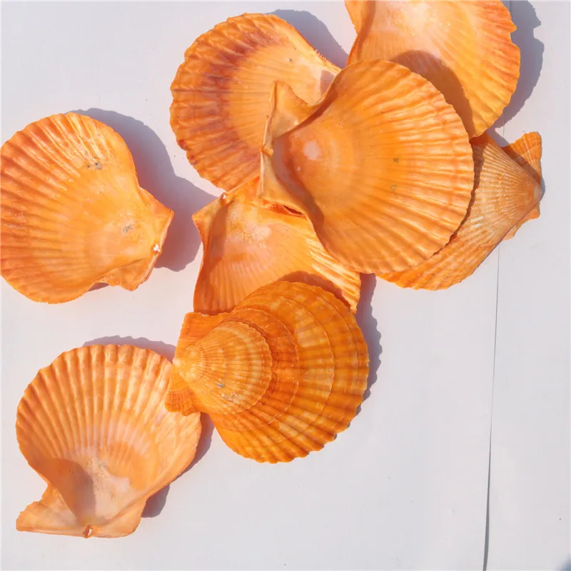 Натуральное ремесло желтый цвет гребешки 5-8 см 20 шт ракушки натуральный аквариум орнамент Морской стиль украшения дома