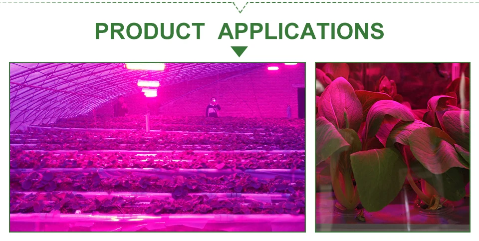 led grow light cob chip (10)