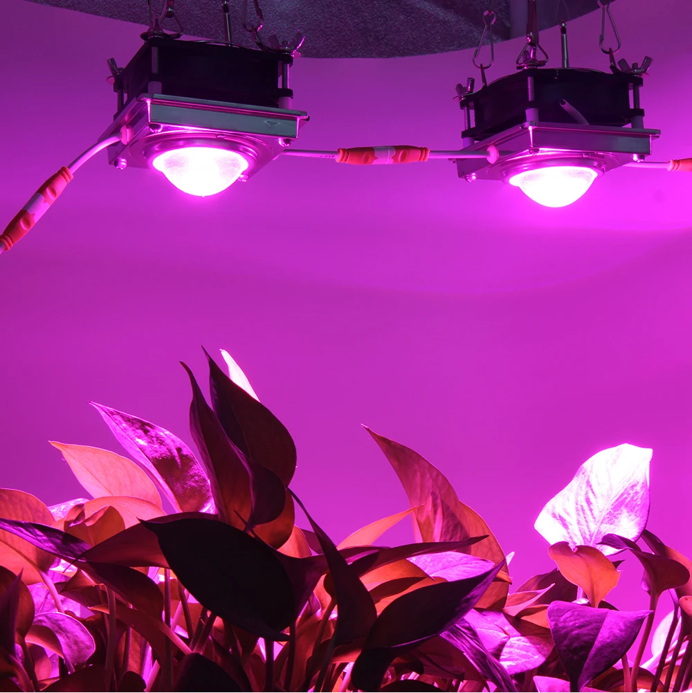 Высокий PAR COB светодиодный светильник для выращивания полный спектр 150 Вт Светодиодный светильник для выращивания растений со стеклянными линзами и несколькими соединительными шнурами для комнатных растений