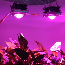 High PAR COB LED Grow Light Full Spectrum 150W LED Plant Grow Lamp with Glass Lens and Multiple Connection Cord for Indoor Plant High PAR COB LED Grow Light Full Spectrum 150W LED Plant Grow Lamp with Glass Lens and Multiple Connection Cord for Indoor Plant