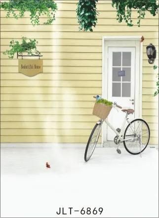 

300cm*300cm Vinyl Custom Photography Backdrops Prop Digital Photo Studio Background  S-6869