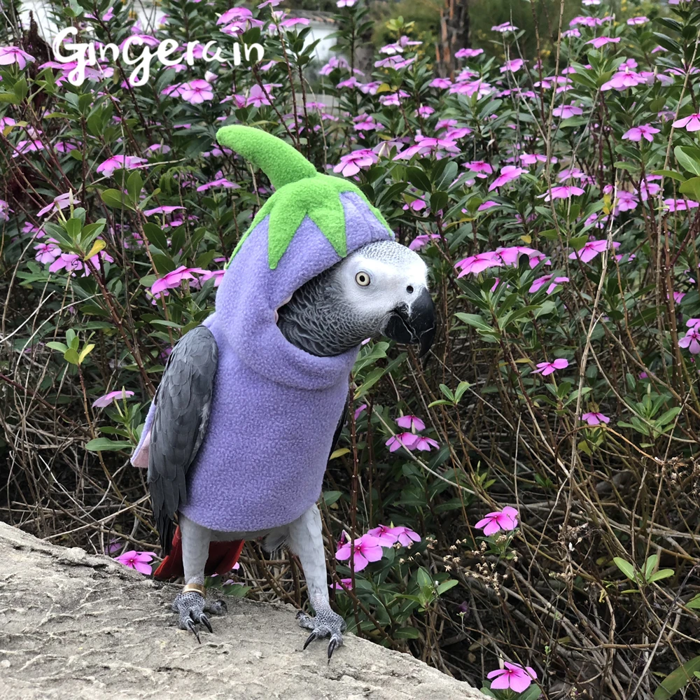 

Gingerain Bird clothes Parrot clothes The Little Prince original hand-made custom bird clothes Hooded Sweater Fruit park