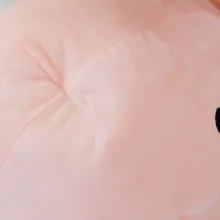 HTB1M78vSXXXXXXZaXXXq6xXFXXXK