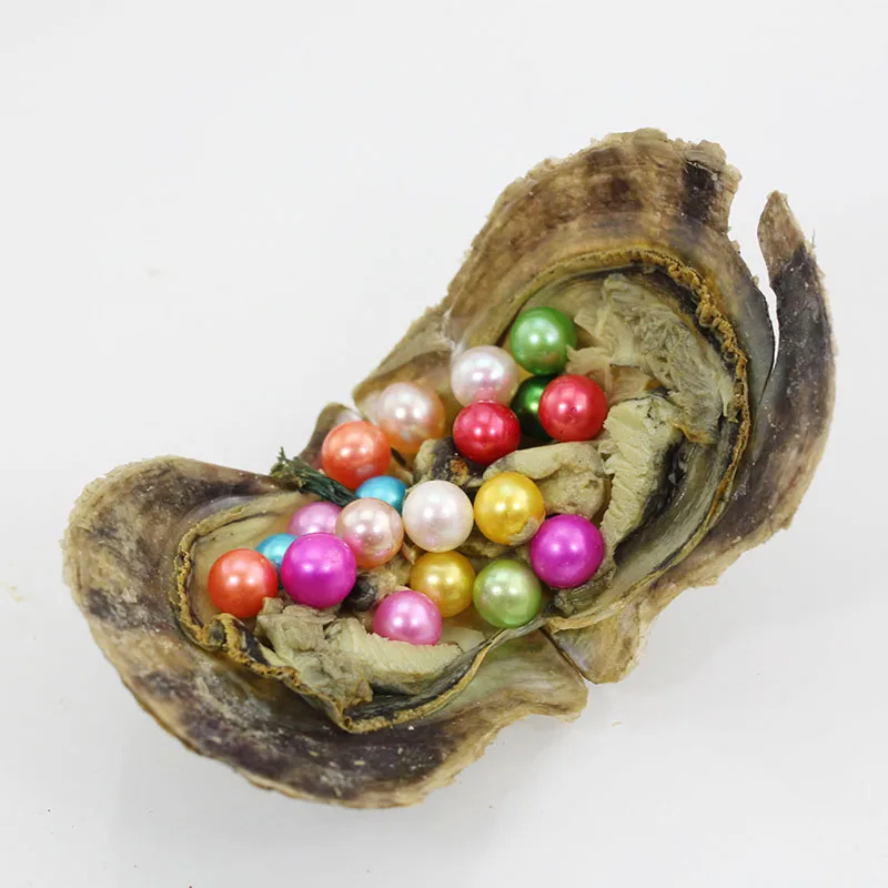 27 Mixed Colors Single Pearl in Oyster 20pcs Akoya Pearl Oysters With