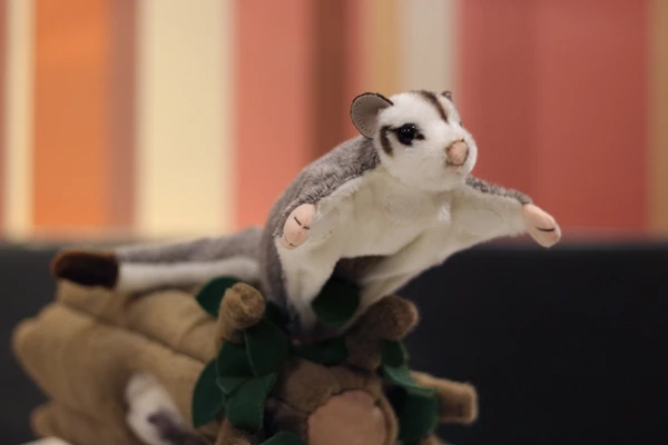 sugar glider stuffed animal