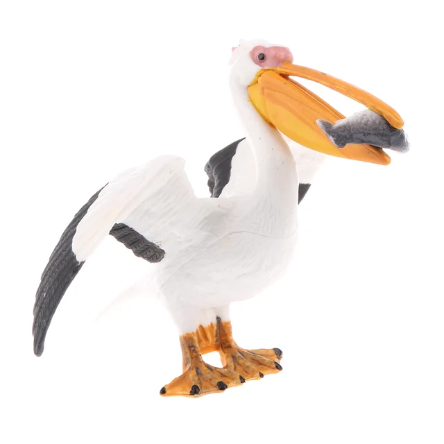 Realistic PVC Animal Bird Model Figurine Action Figures Playset Kids Educational Toy Collectibles –Pelecanus 5