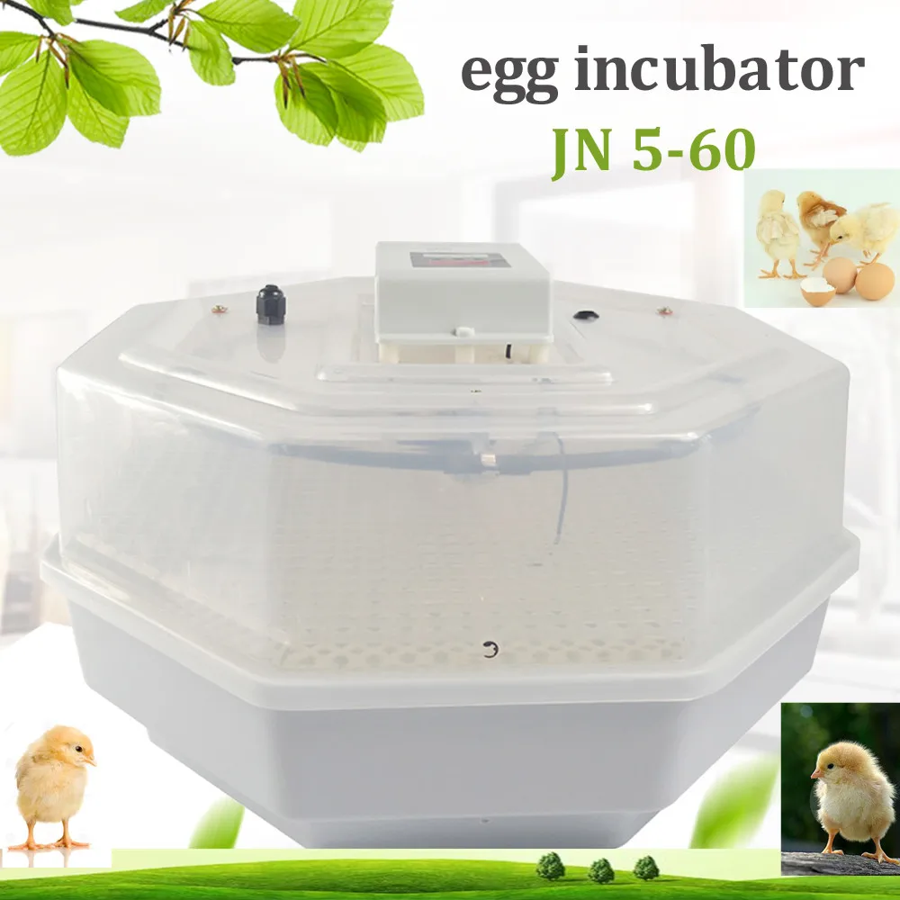 

Hot Sale! Mini 60 Egg Incubator CE Approved Semi-automatic Home Farm Poultry Chicken Bird Brooder Transparent Easy to Observe