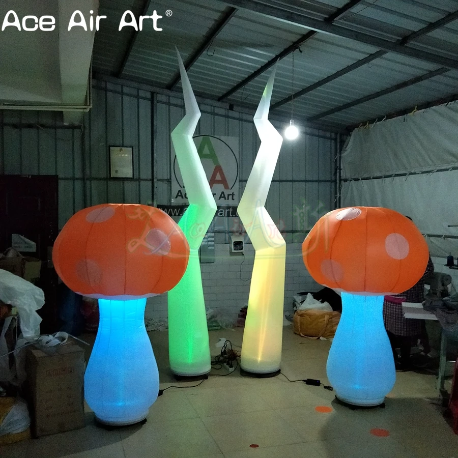 IMG20190107213503_