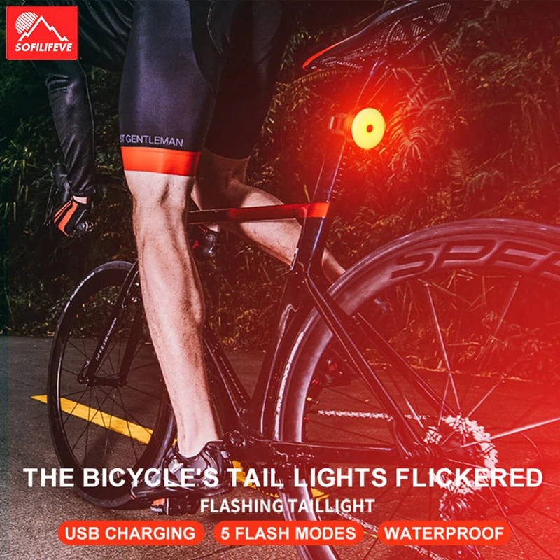 

Bike light Intelligent induct LED Lighting Bicycle Light Night Cycling Tools Lantern Mountain Bike USB Charge Flash Tail Ligh