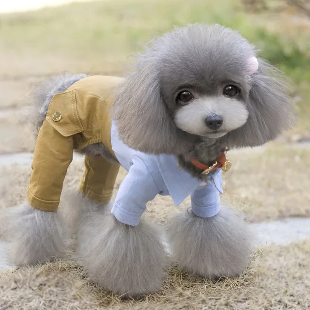 Cool Dog Clothes Bow Dog Jumpsuit Romper Spring Pet Coat Jacket Wedding