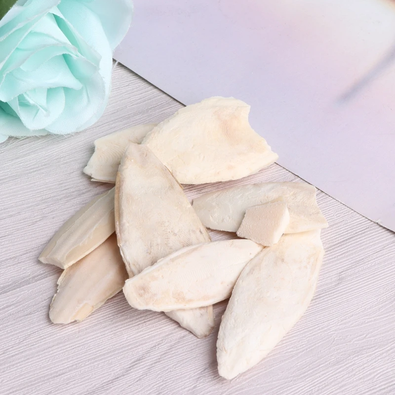 1 Bag Cuttlebone Cuttlefish Sepia Bone Cuttle Fish Bird Food Calcium Pickstone font b Pet b
