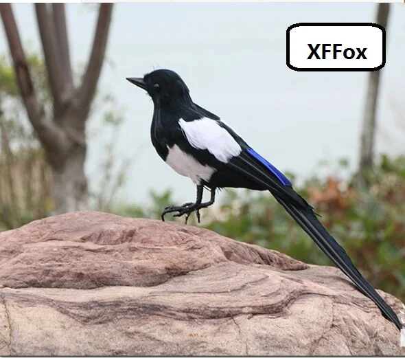 HTB1l3vOelGw3KVjSZFDq6xWEpXaz