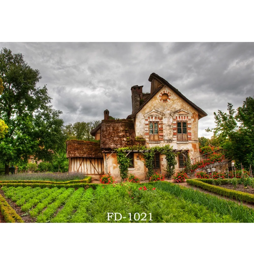 Трава винтажный дом фотография фон для фотостудии фото фотографический реквизит