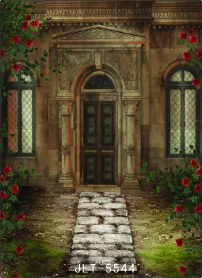 

300cm*300cm Vinyl Custom Photography Backdrops Prop Digital Photo Studio Background  S-5544