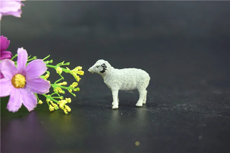 HTB1a8mXaFkoBKNjSZFkq6z4tFXax