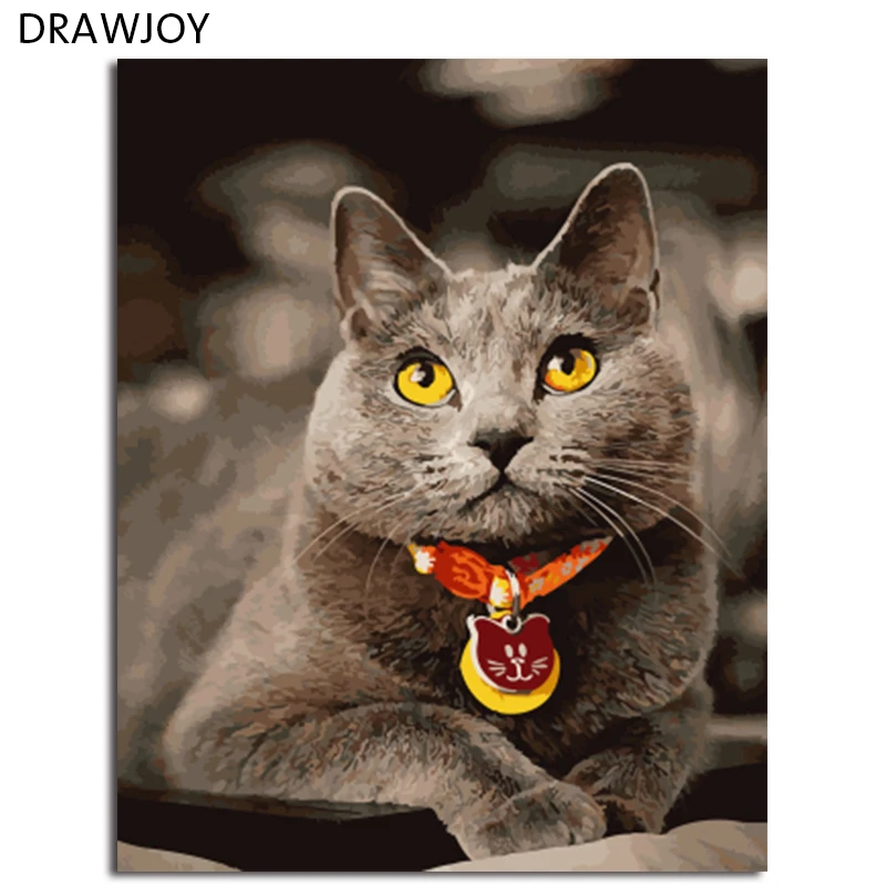 

DRAWJOY Framed Animal Cat DIY Painting By Numbers On Canvas Painting And Calligraphy Wall Art For Home Decor 40x50