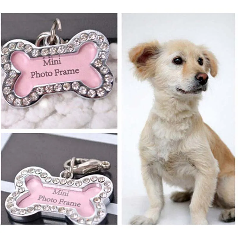 Hot Sell Label Name Card Bone Lost Dog Id Address Name Tag Pet Dog