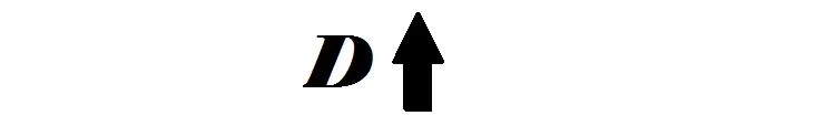 D 4