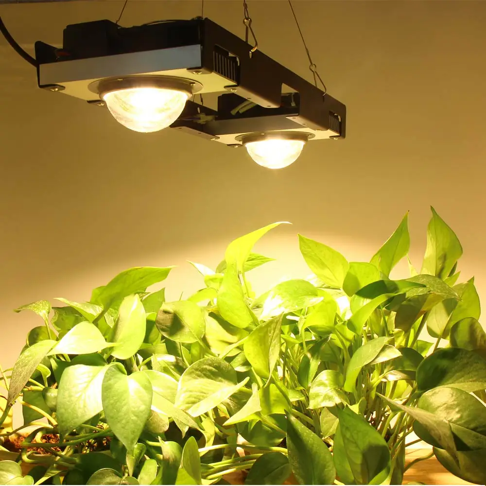 

CF GROW CXB3590 LED Grow Light Full Spectrum 200W Citizen LED Plant Grow Lamp 3000K 3500K 5000K for Indoor Tent Hydroponic Plant