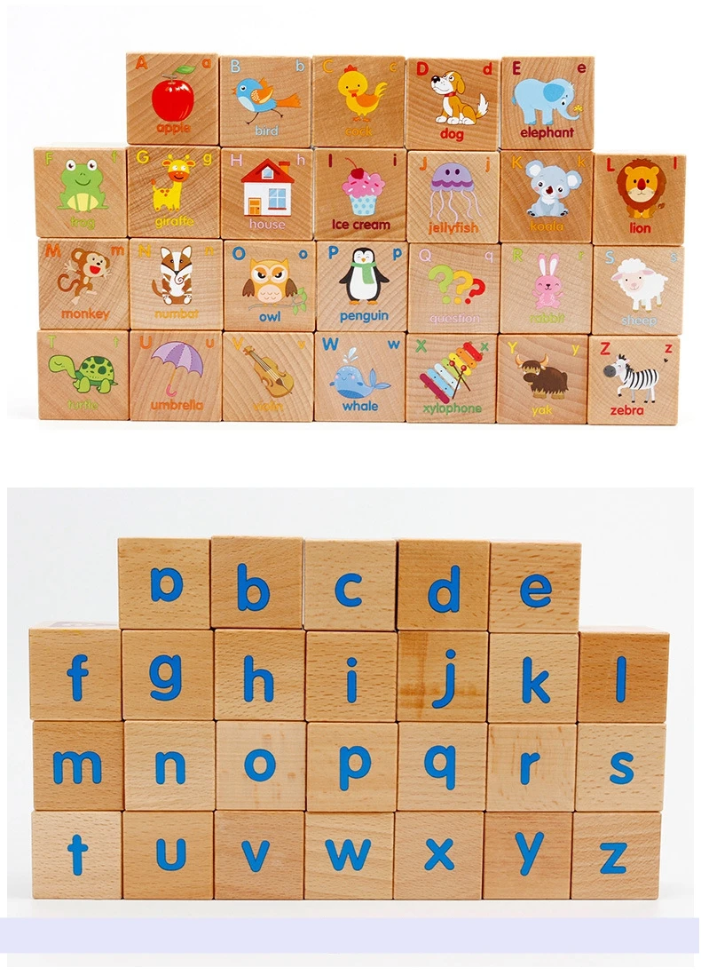 9044165048_783871151