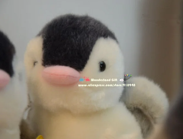 face.jpg
