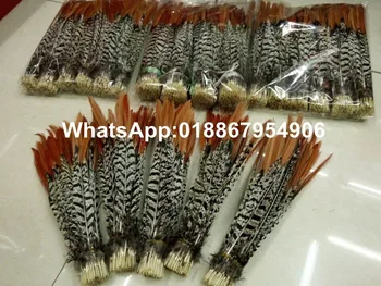 

Cheap! 500pcs Long Red tip Lady Amherst Pheasant Tail Feathers for craft/millinery 25-30 cm pheasant plume
