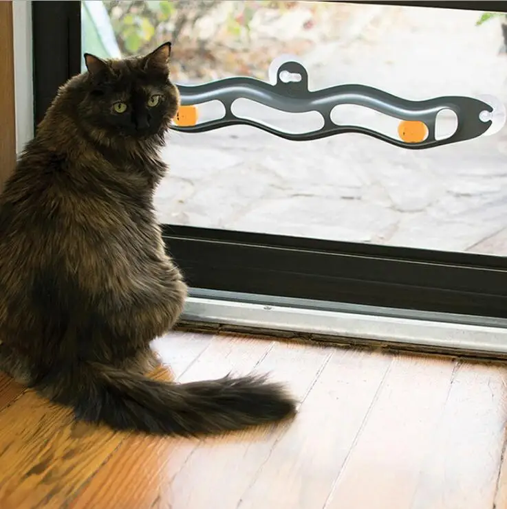 Cat Toys Interactive Track Ball toy Cat practical Window Suction Cup Track Ball Pet Accessories Cat Toys Interactive Track Ball toy Cat practical Window Suction Cup Track Ball Pet Accessories